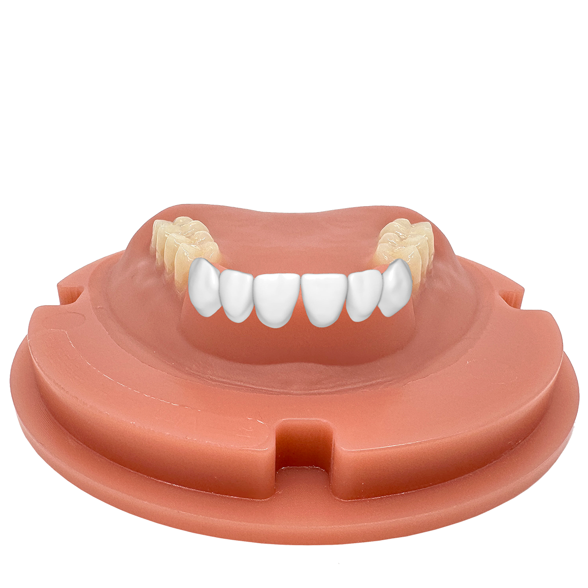 MERZ BDCreator® PLUS